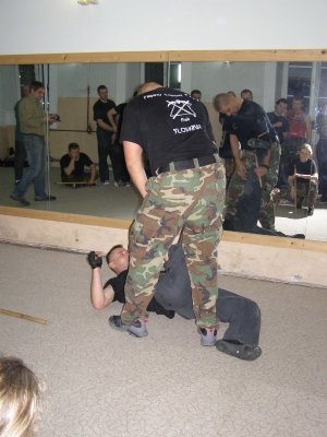 seminar_FCS_lviv_7_11_2010_11