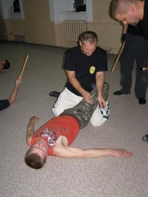 seminar_FCS_lviv_7_11_2010_13