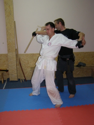 seminar_FCS_17_10_2010_10