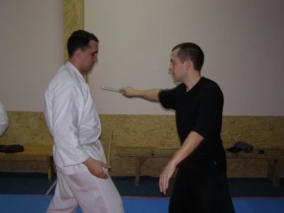 seminar_FCS_17_10_2010_13