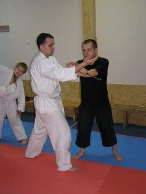 seminar_FCS_17_10_2010_15