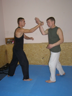 seminar_FCS_17_10_2010_16