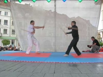 ІФОФБМ виступила на День міста (07.05.2011) _10