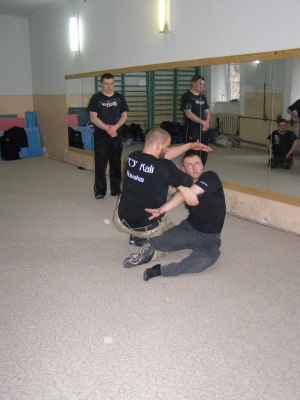 seminar_FCS_3